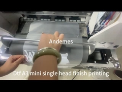 Model A3 Mini 13inch DTF Printer with CMYKW Ink Powder Shaker Oven and Two XP600 Heads