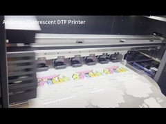 DTF Inkjet Printer I3200 24inch Print Size 400 KG Capacity for Heat Transfer Printing