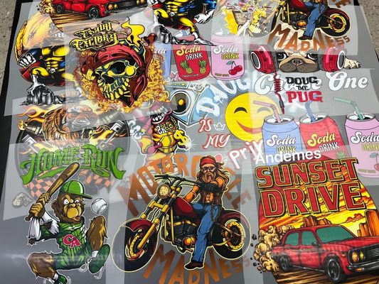 Andemes Heat Transfer Technology CMYK LC LM DTF Pet Film White Based Transfer Pigment