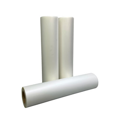 Pet Film Heat Transfer Paper Clothing 24 Inch A1 DTF Printer With Double/Single Side White Ink